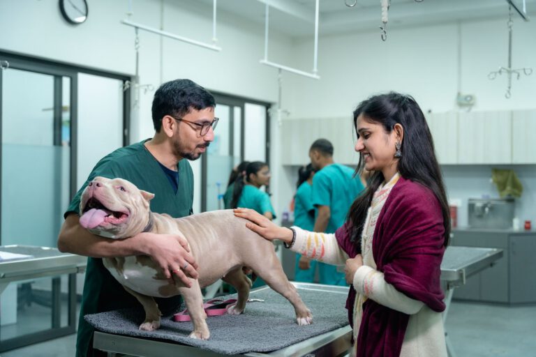 Equipo veterinario atendiendo a un perro en la clínica