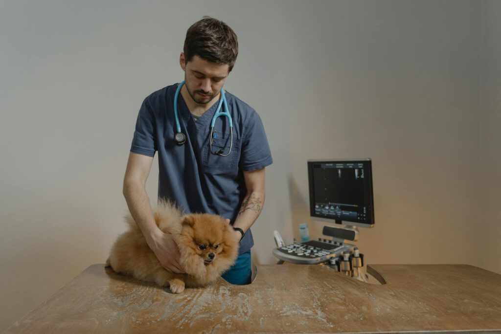 Veterinario sosteniendo a un cachorro en una revisión