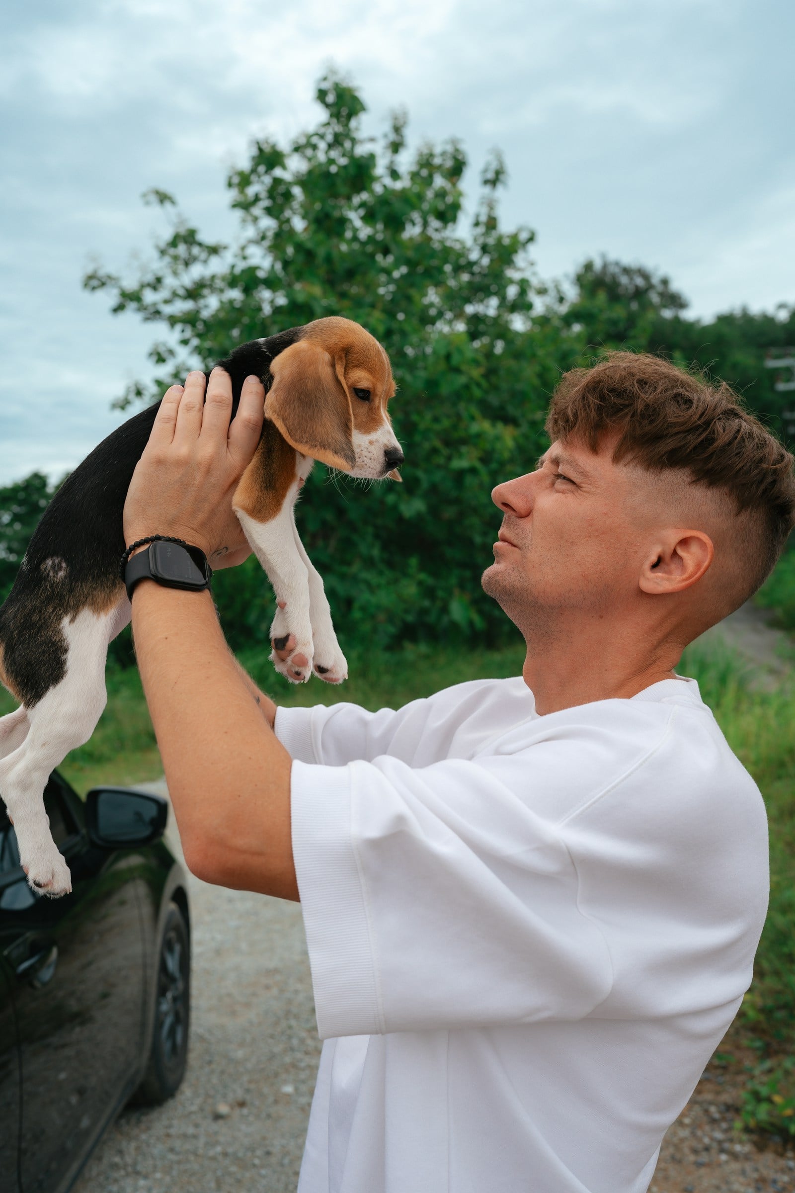 ¿Cuándo vacunar a un cachorro?