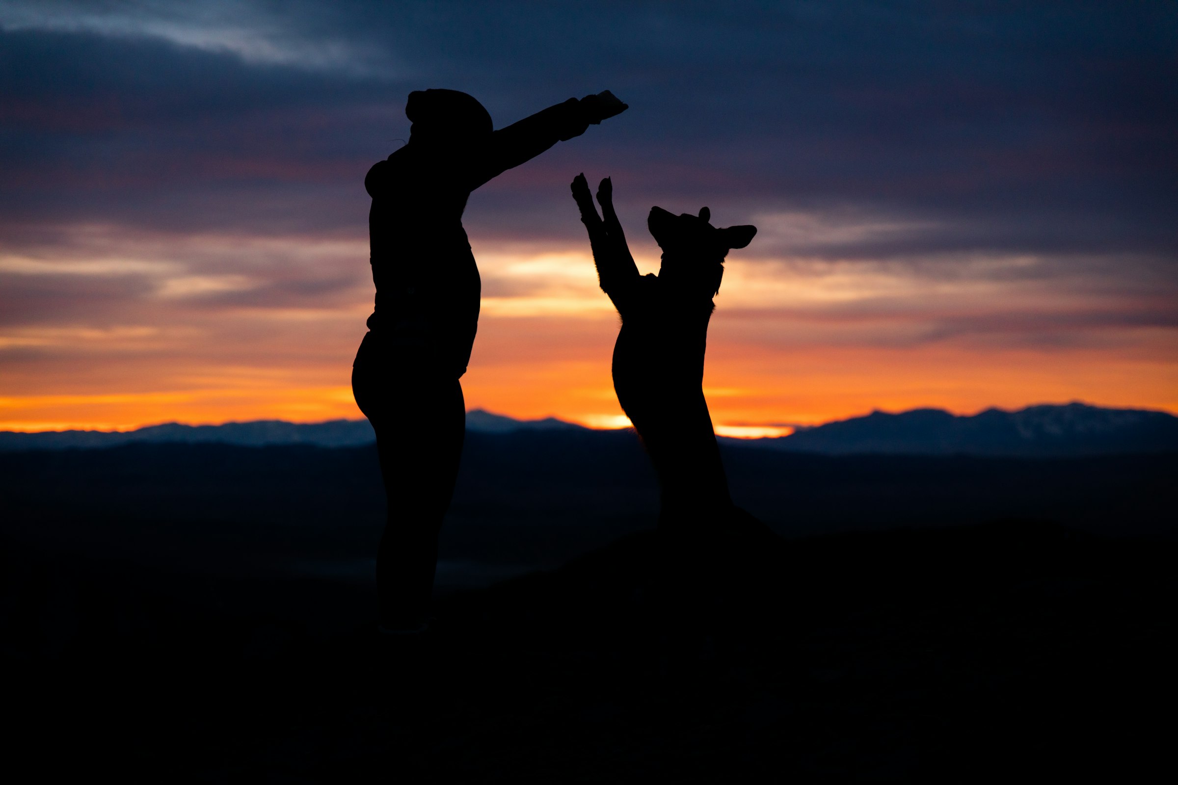 Persona jugando con su perro al atardecer