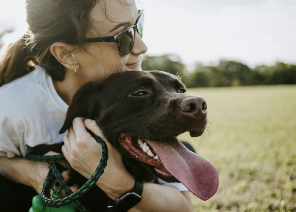 Cuidado cercano de una mascota en Sophia