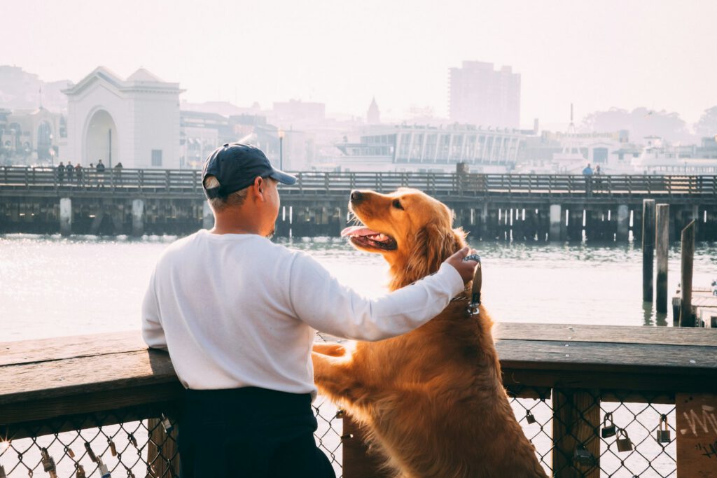 Tutor paseando junto a su perro